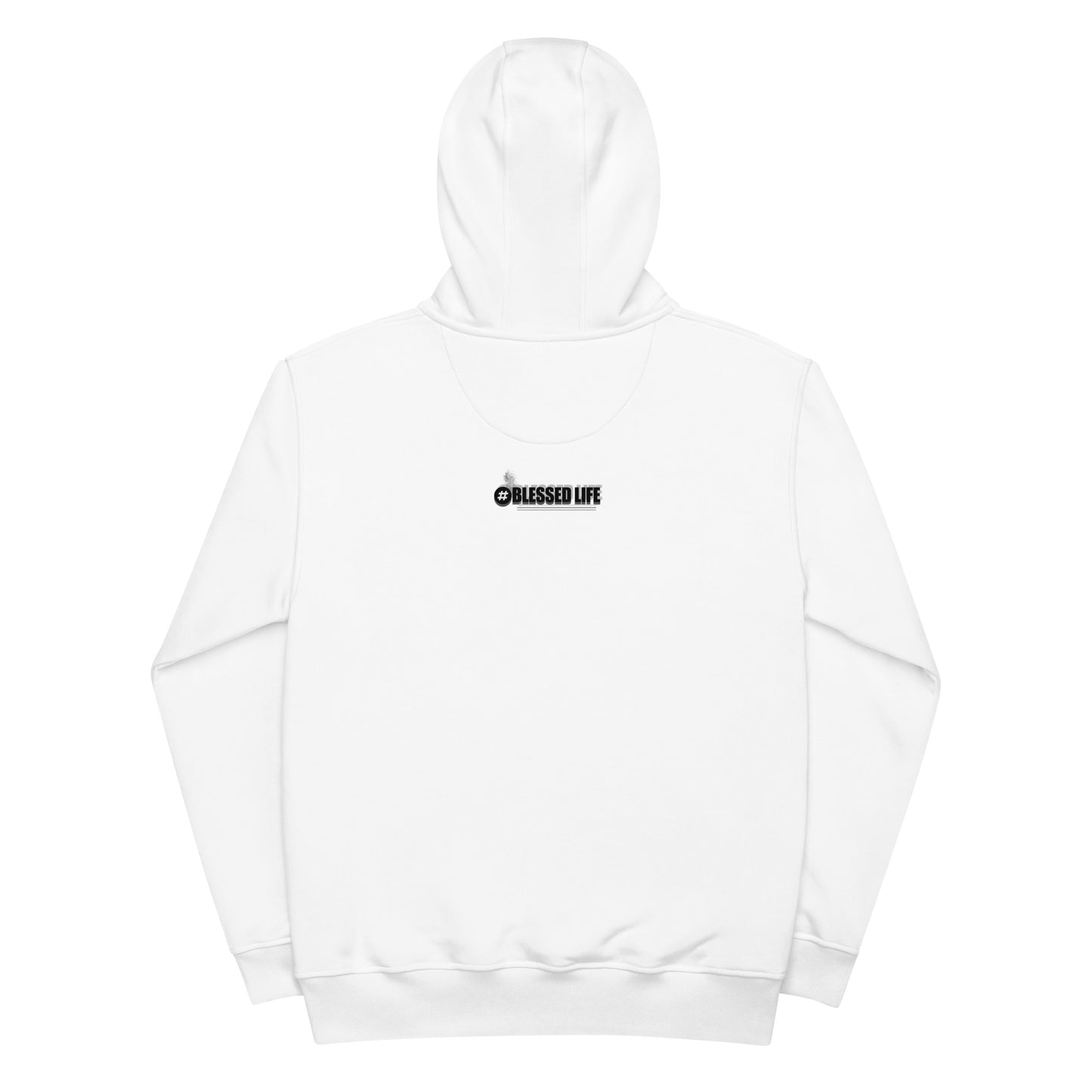 I GOT RITCHES IN ME Premium eco hoodie